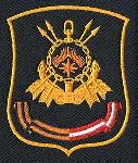 Прославленная дивизия